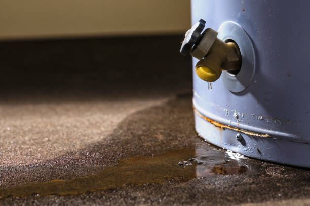 Best Flood damage cleanup  in Mooresville, NC