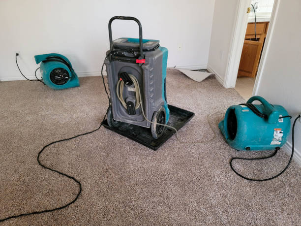 Best Ceiling water damage repair  in Mooresville, NC