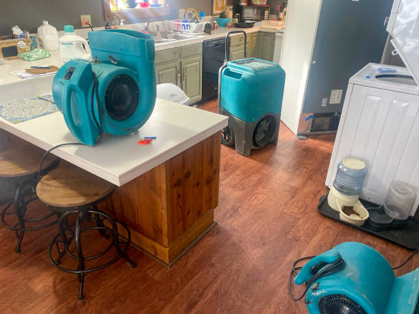 Best Mold removal after water damage  in Mooresville, NC