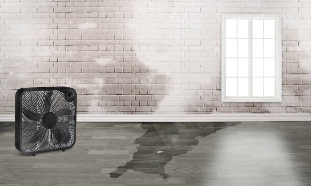 Best Flood restoration services  in Mooresville, NC